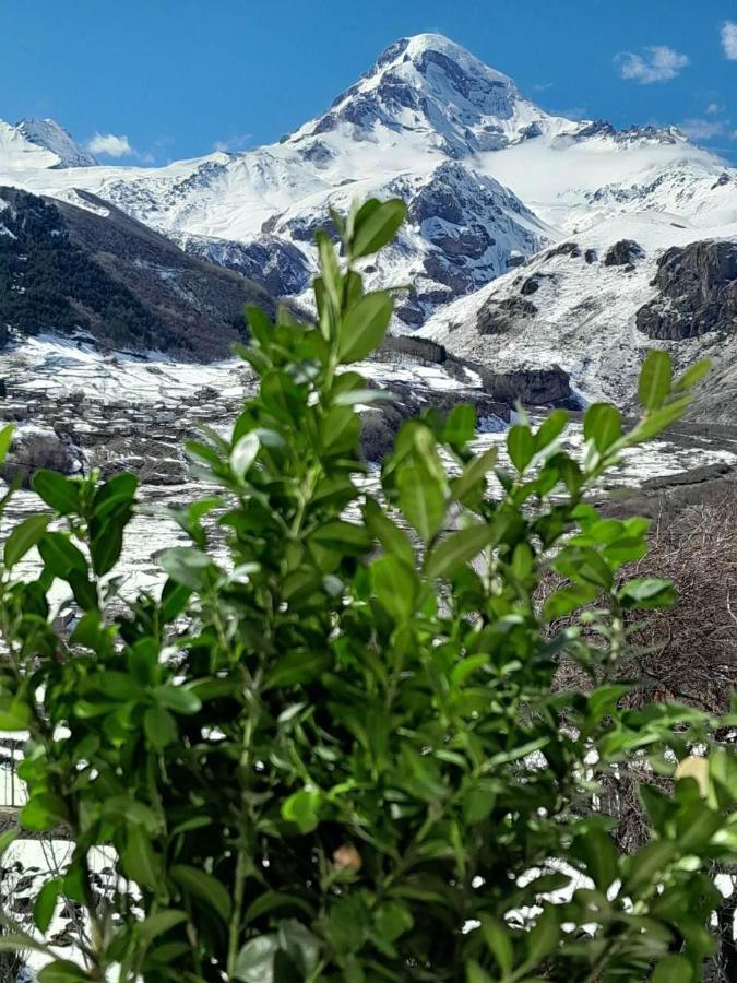 Emotion Kazbegi Stepantsminda Exterior foto