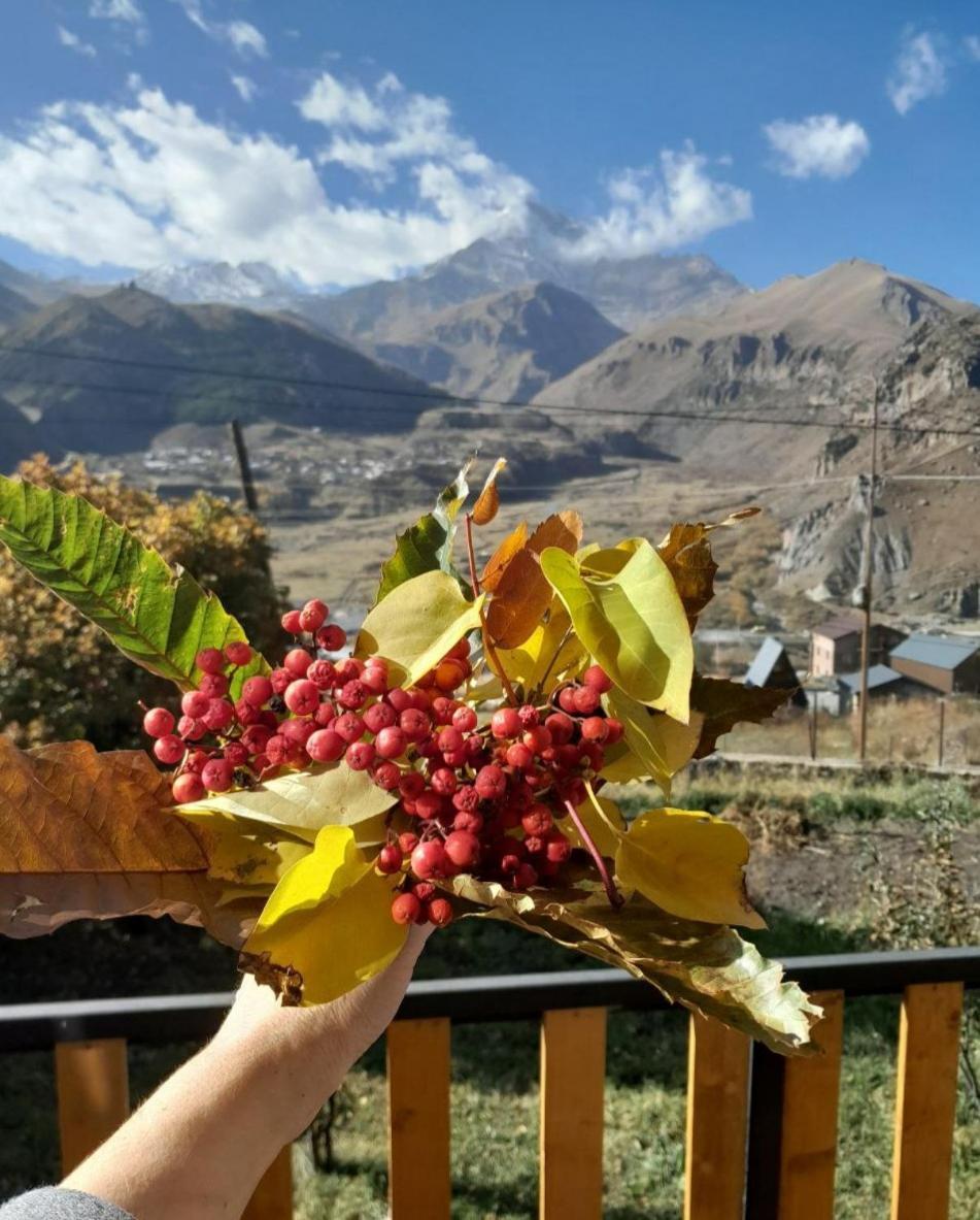 Emotion Kazbegi Stepantsminda Quarto foto