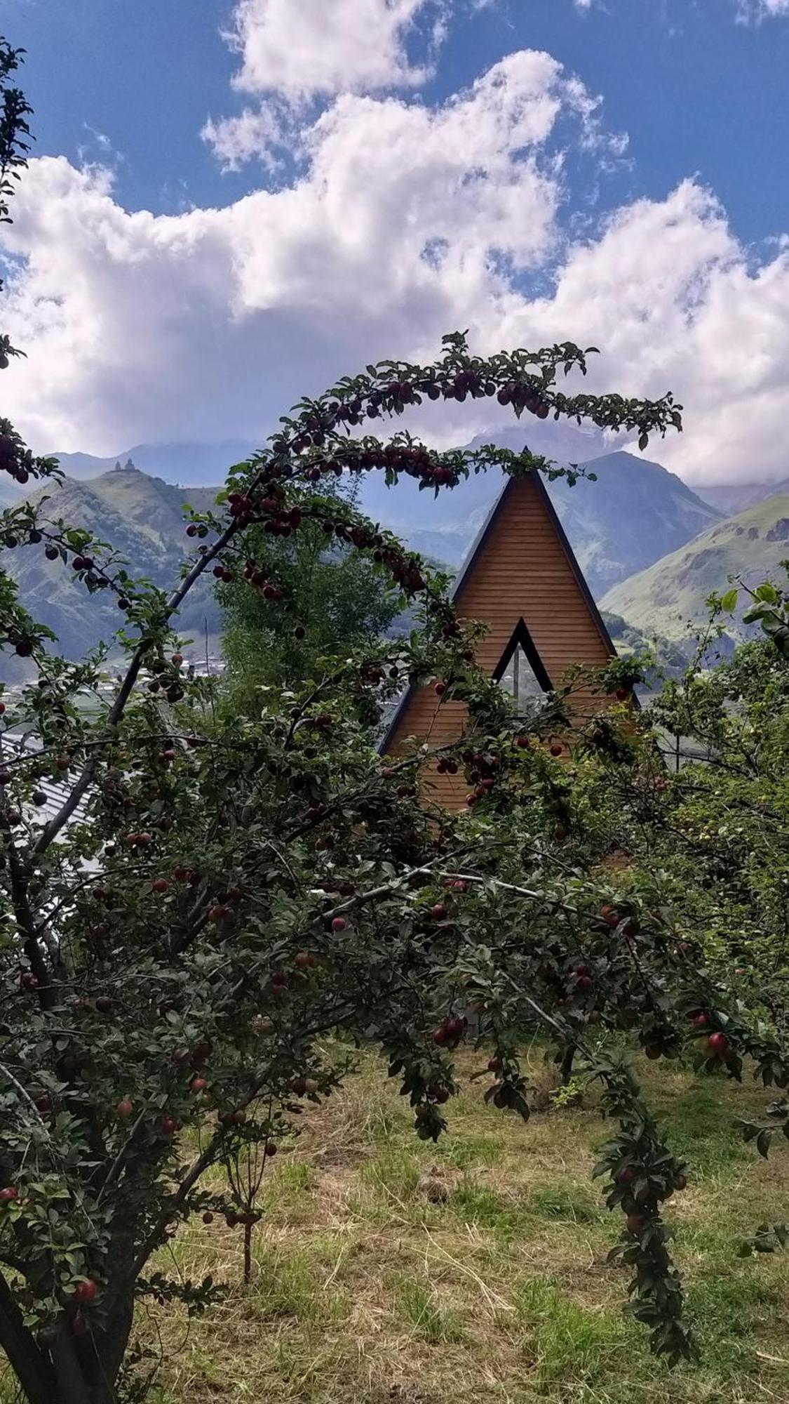 Emotion Kazbegi Stepantsminda Exterior foto